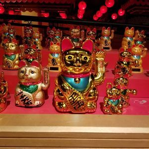 Meet your Posher, Karen